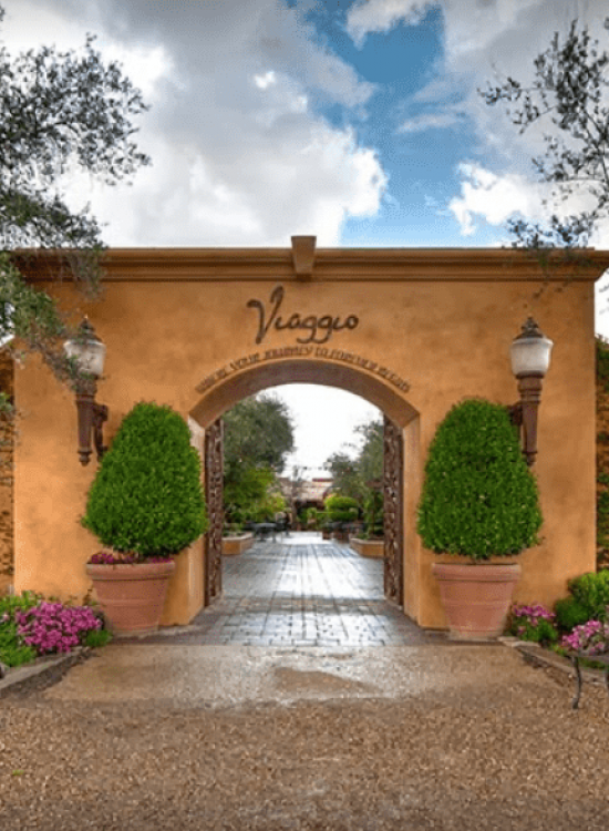 Viaggo Wines Vegas to Vines